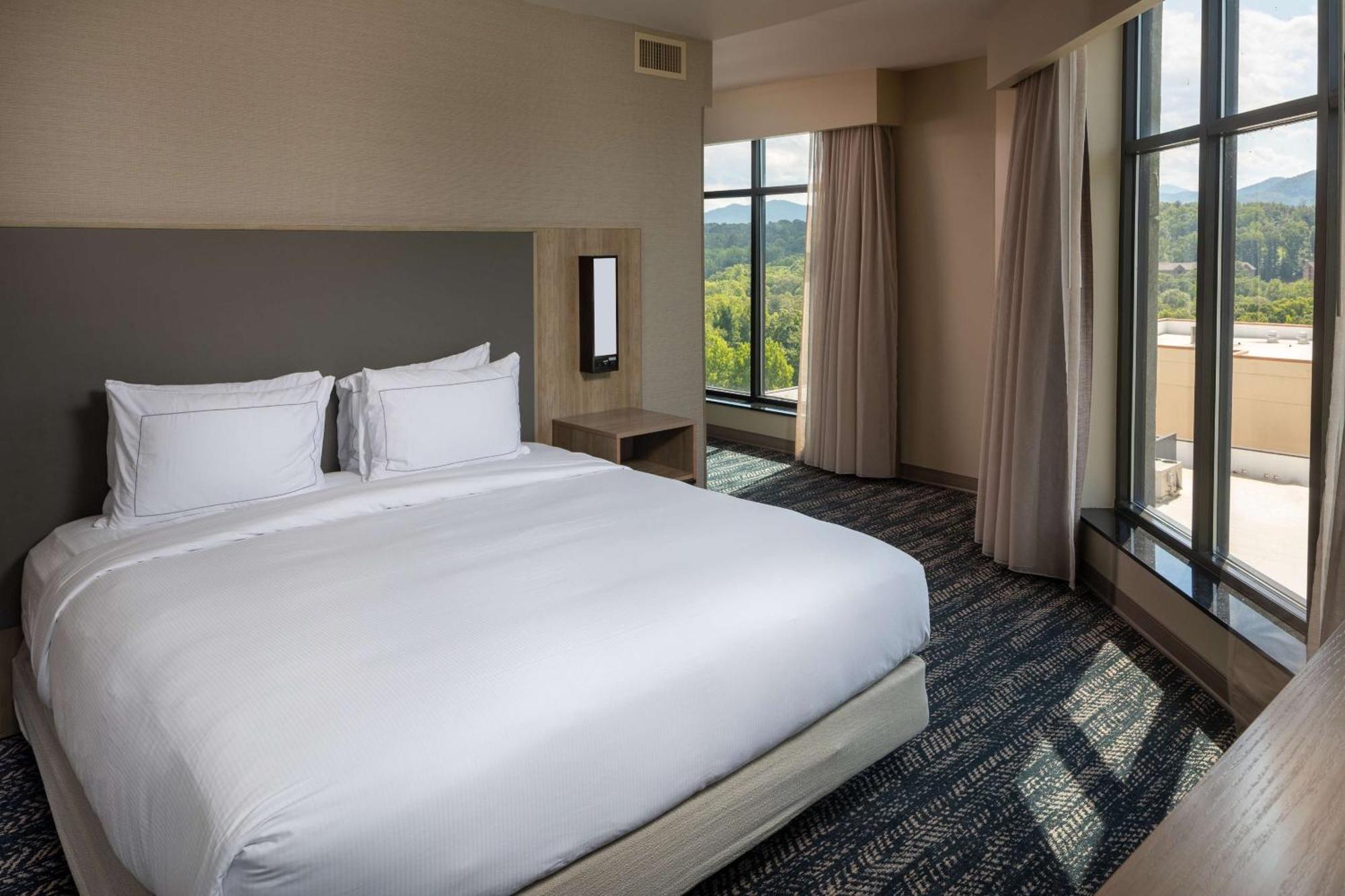Hilton Asheville Biltmore Park Екстер'єр фото